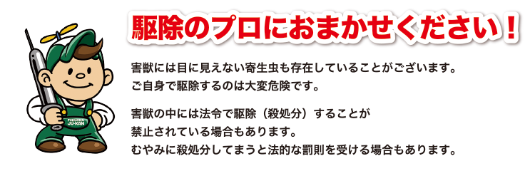 駆除のプロにおまかせください！
