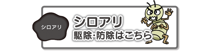 シロアリ駆除・防除はこちら