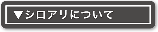 シロアリについて