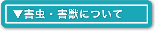害虫・害獣について