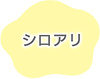 シロアリ