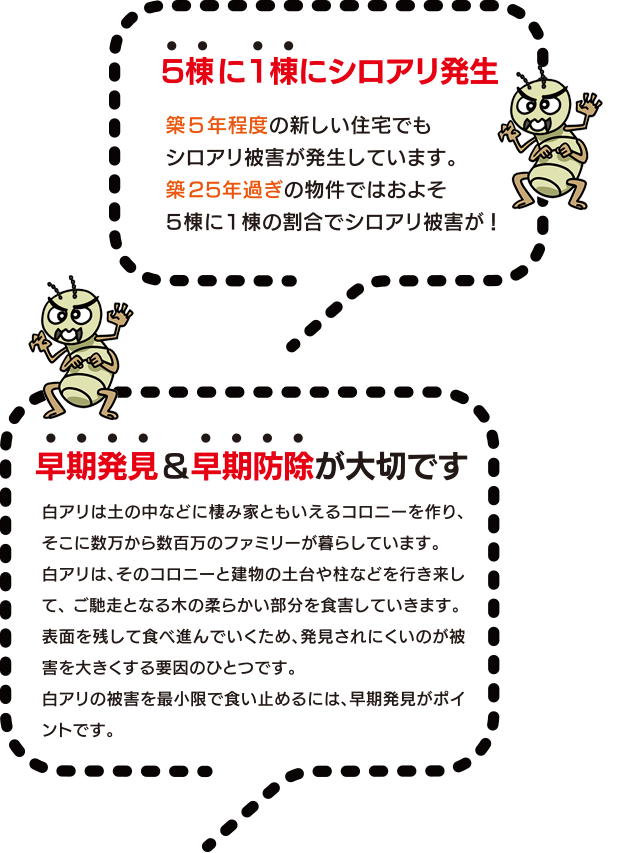 シロアリ被害