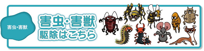 害虫・害獣駆除はこちら
